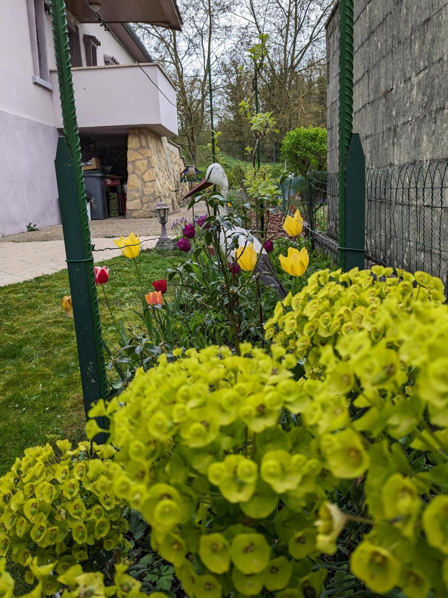 Villa Chantal Verdun-sur-Meuse Exterior photo
